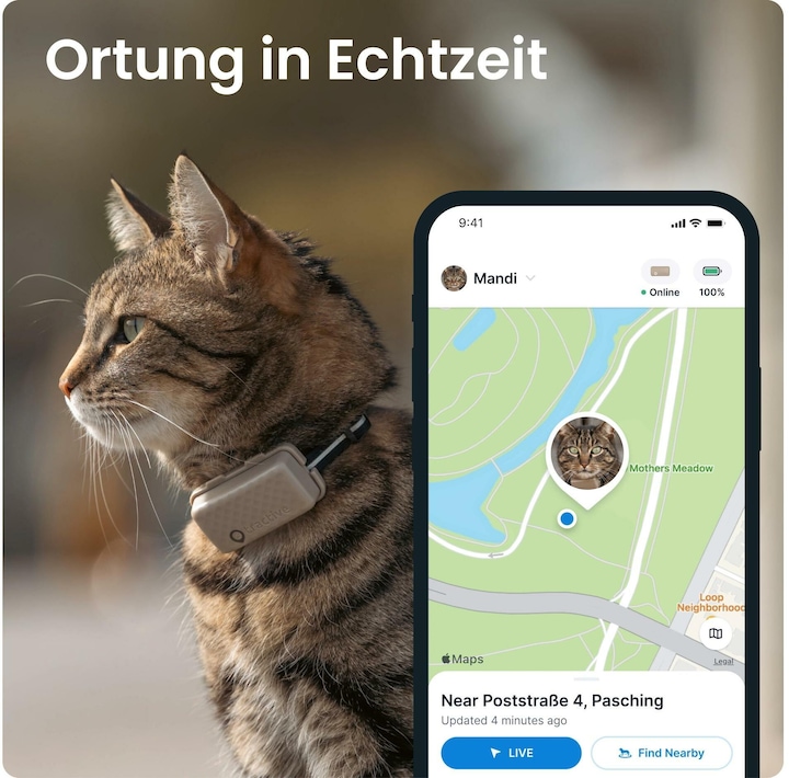 Produktbild Tractive GPS Mini (One Size, Katze, Allgemein)