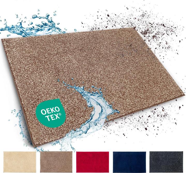 Floordirekt Schmutzfangmatte Nasa