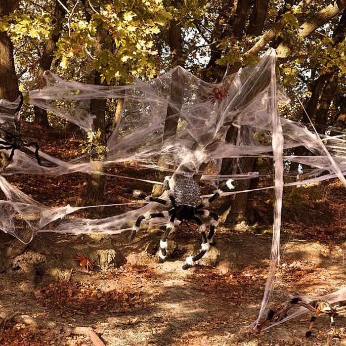 Actual product image Boland Spider Web with 25 Spiders (25 pcs.)