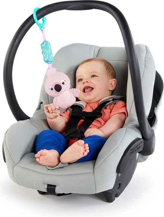 Actual product image Bright Starts Flamingo rattle