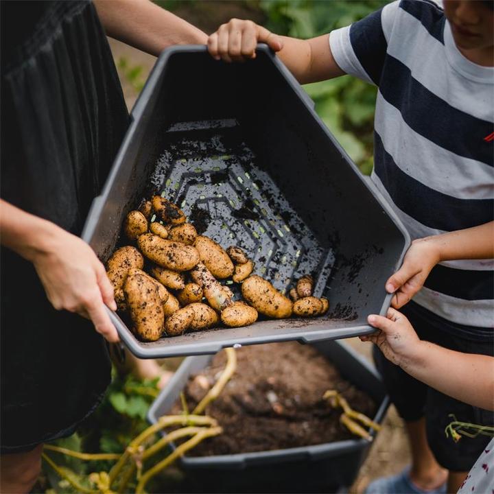 Produktbild Paul Potato 3 Etagen