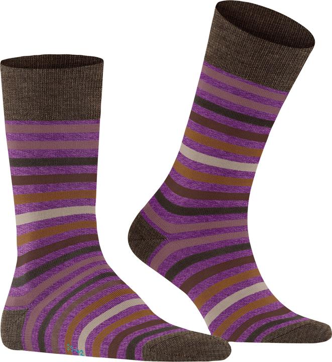Produktbild Falke Tinted Stripe Herren Socken (39 - 42)