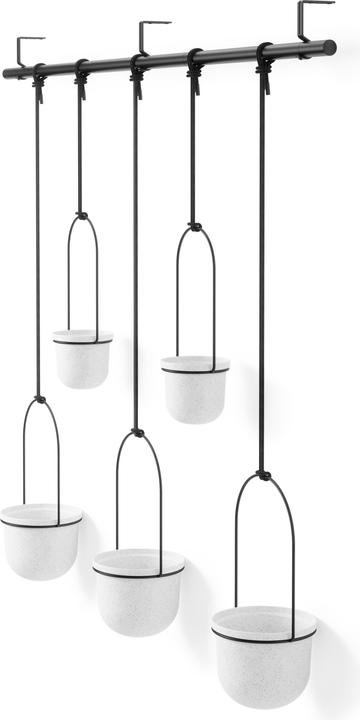 Produktbild Umbra Triflora (15 x 94 cm)