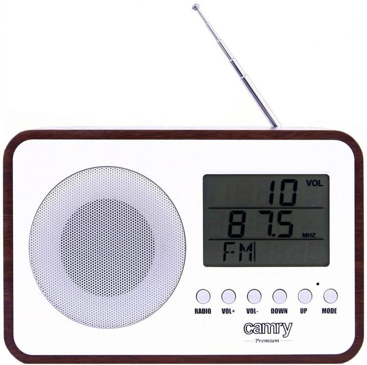 Actual product image Camry CR 1153 (FM)