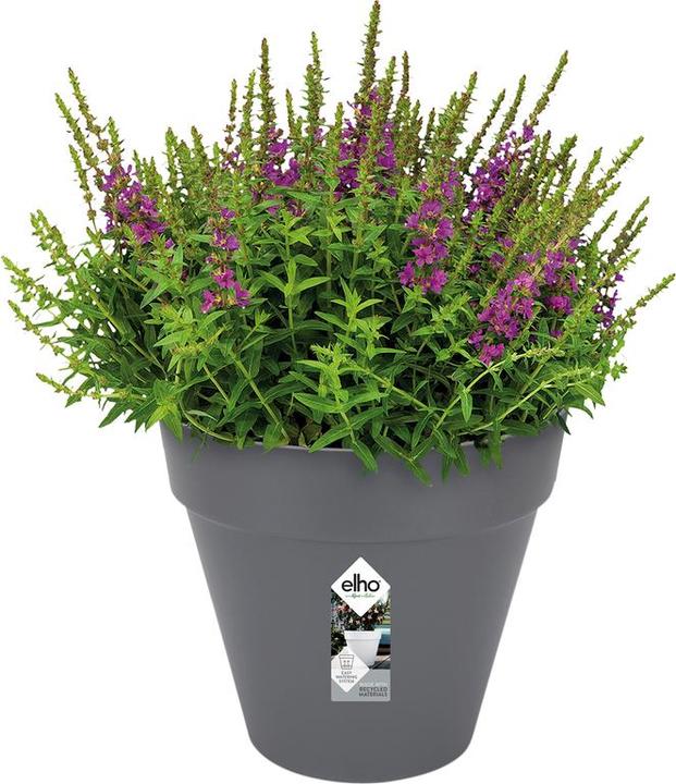 Produktbild Elho Loft Urban (28.50 cm)