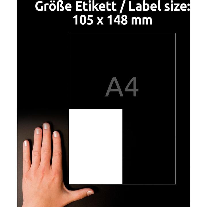 Actual product image Avery Strongly adhesive paper labels