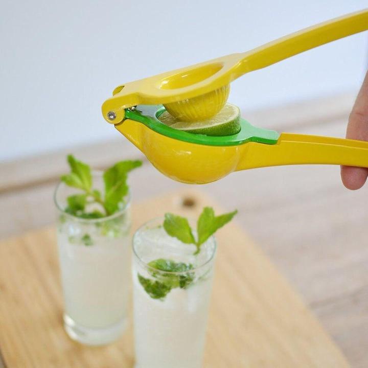 Produktbild JTI Zitruspresse mit Doppelpressen