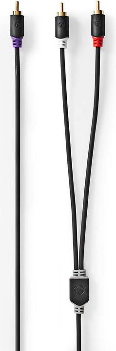 Image du produit Nedis Câble subwoofer RCA mâle 2X RCA mâle plaqué or 3.00 m Round 4.0 mm Anthracite Box (3 m)