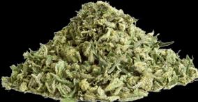 Immagine prodotto Local Weed Trim di Purple Kush (40 g, Interno)