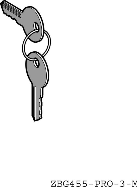 Actual product image Schneider Electric Spare key for key switch, ZBG455P