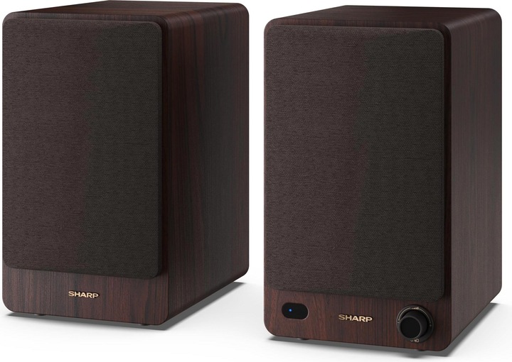 Actual product image Sharp CP-SS30 (1 pair, 60 W)