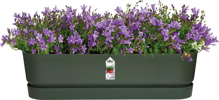 Image du produit Elho Caissette à fleurs (19.10 cm)