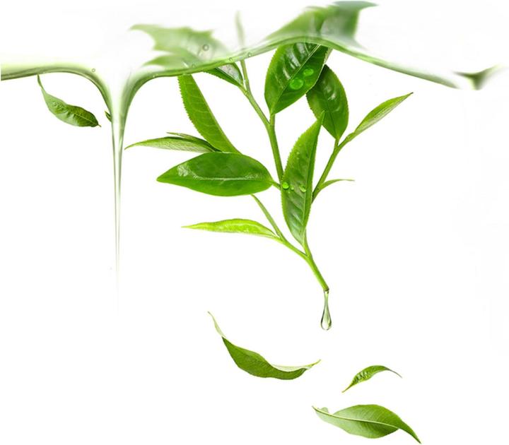 Immagine prodotto Foreo Tè verde (36 ml)