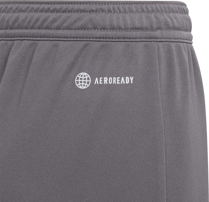Actual product image adidas Entrada 22 Shorts (116)