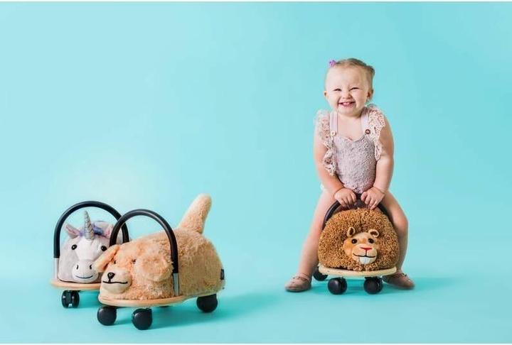 Actual product image Wheely Bug Lion