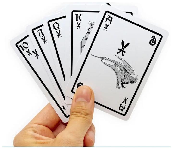 Produktbild Aquarius Abbey Harry Potter Playing Cards Slytherin NMR52438 (Deutsch, 1 - 4 Spieler)