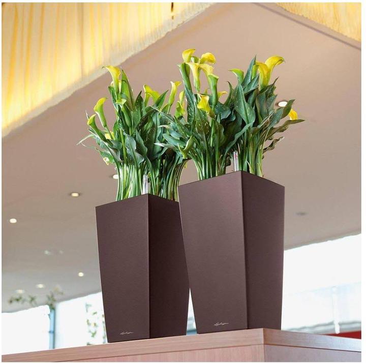 Actual product image Lechuza Ojo (21 cm)