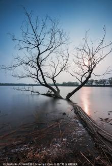 Productafbeelding Venus Optic Laowa 12mm f/2.8 Zero-D Canon (Canon EF, Volledig formaat)