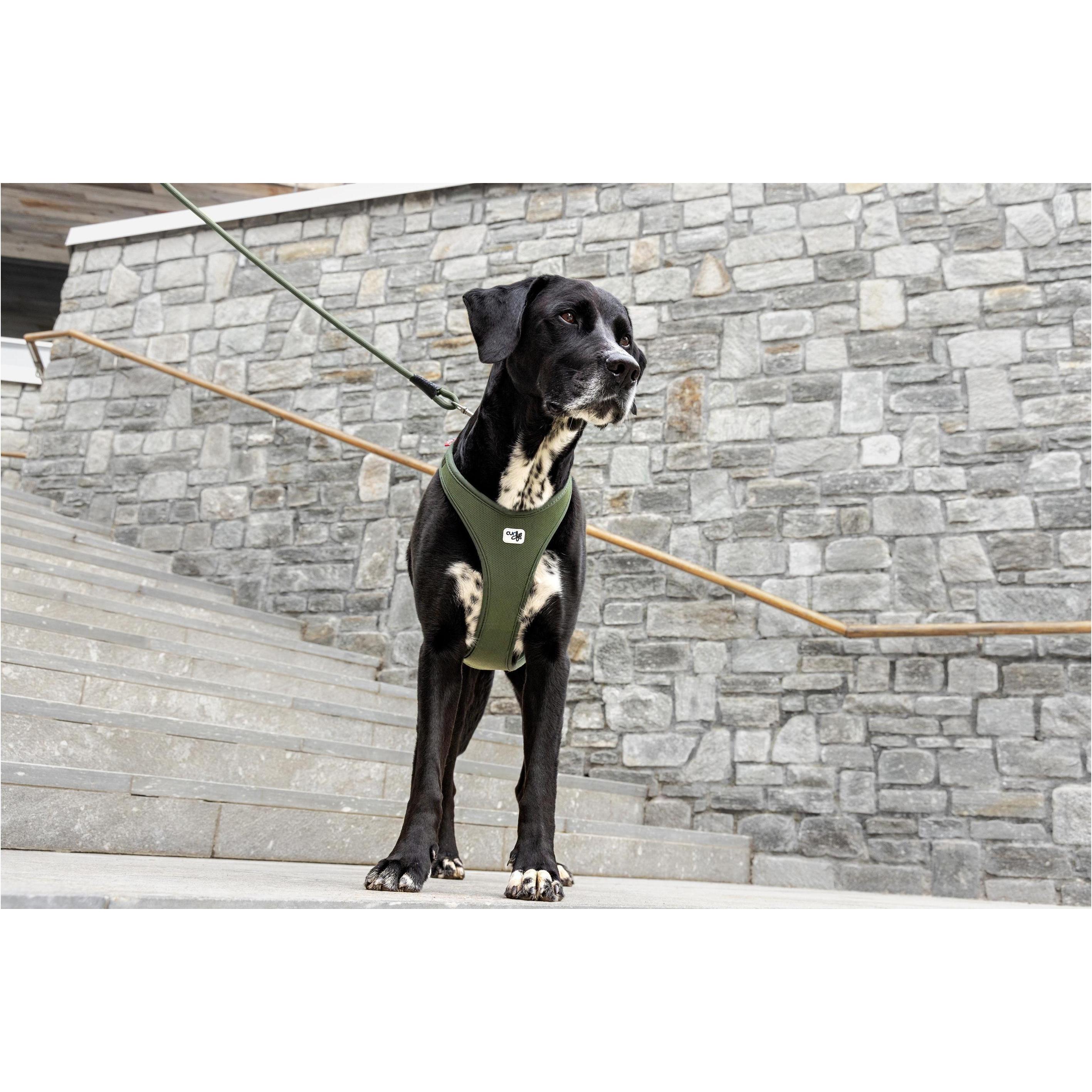 Harnais pour chien Curli Belka Air-Mesh