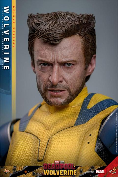 Actual product image Hot Toys Deadpool & Wolverine Movie Masterpiece figurine 1/6 Wolverine (Deluxe Version) 31 cm