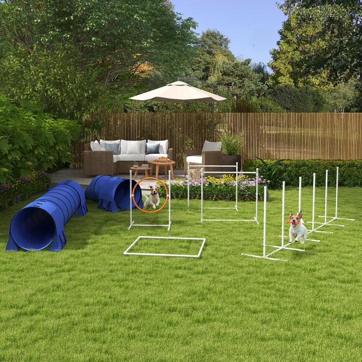 Immagine prodotto PawHut Hunde Agility Set Kunststoff, Oxford Blau (Destrezza)