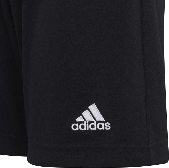 Actual product image adidas Entrada 22 Shorts (164)