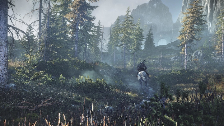 Produktbild The Witcher 3 : Wild Hunt