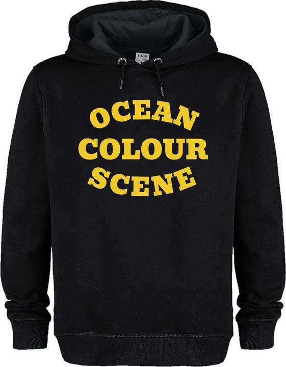 Image du produit Amplified Kapuzenpullover Logo (3XL)