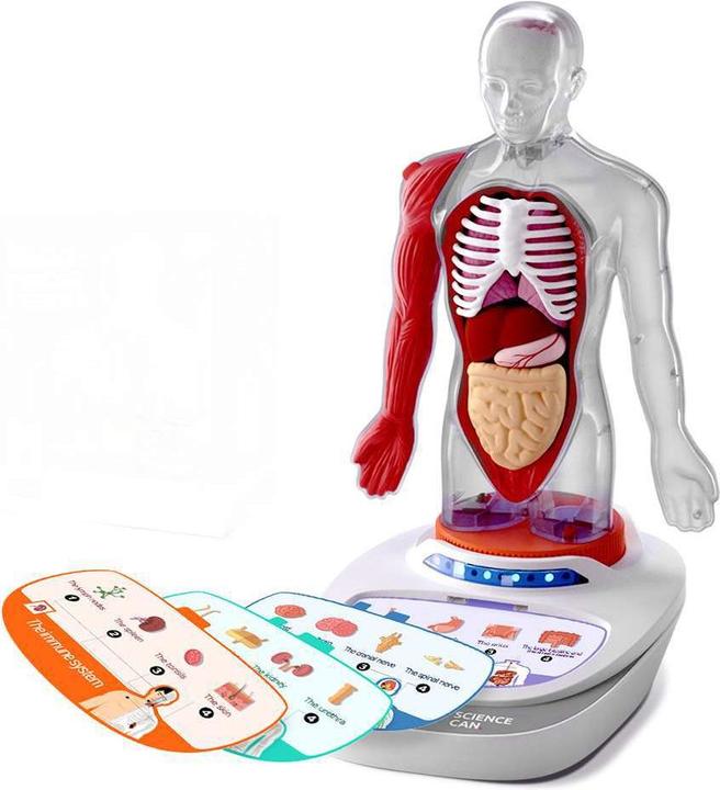 Actual product image Science Can My Body - a knowledge journey with quiz and sound/ My Body Voice Pedia (German, Dutch, English, Italian, French, Spanish)