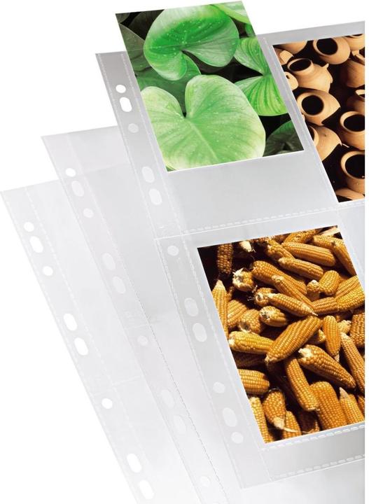 Hama Maniche delle foto (31.40 x 23.70 cm)