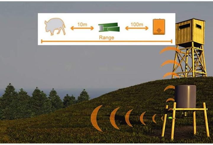Actual product image Berger & Schröter Animal detector