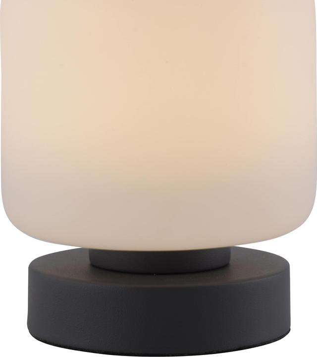 Immagine prodotto Paul Neuhaus Bota (580 lm)