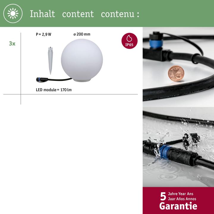 Image du produit Paulmann Plug & Shine Globe d'extérieur (180 lm, IP65)