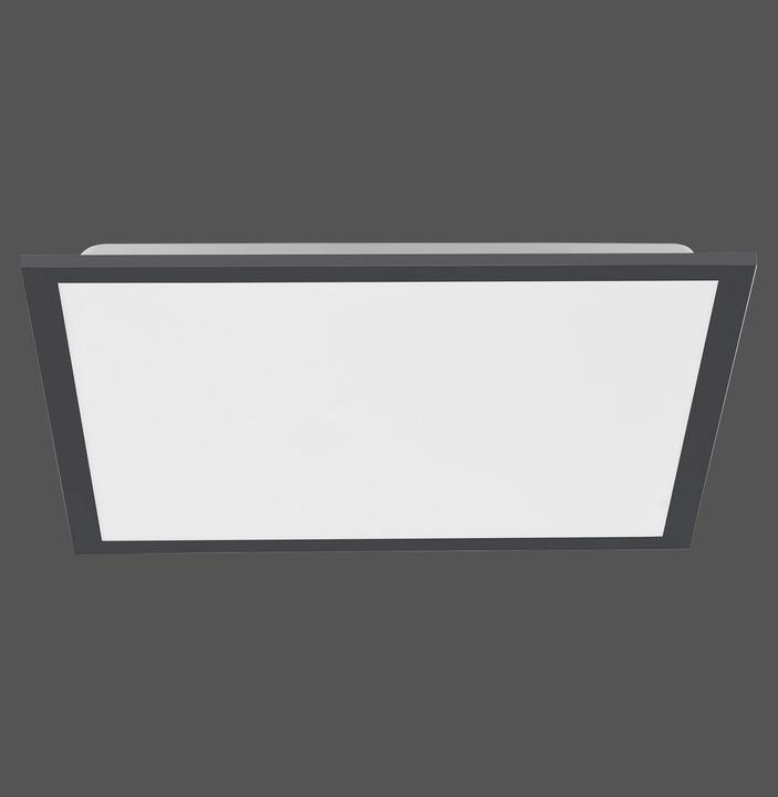 Actual product image Paul Neuhaus Flat (2100 lm)