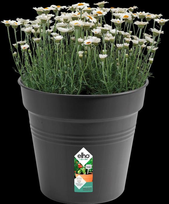 Actual product image Elho Green Basics (30 cm)