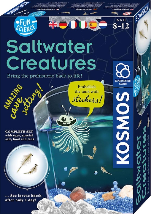 Actual product image Kosmos Scrambling crayfish