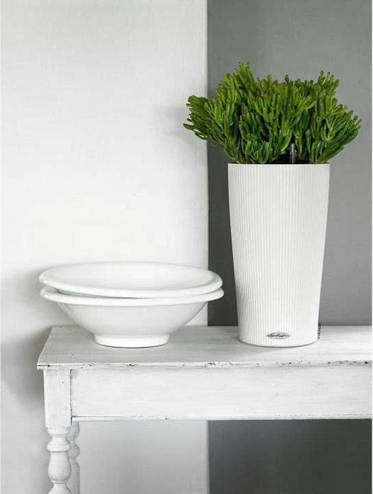 Actual product image Lechuza Cilinro Color 23 (23 cm)