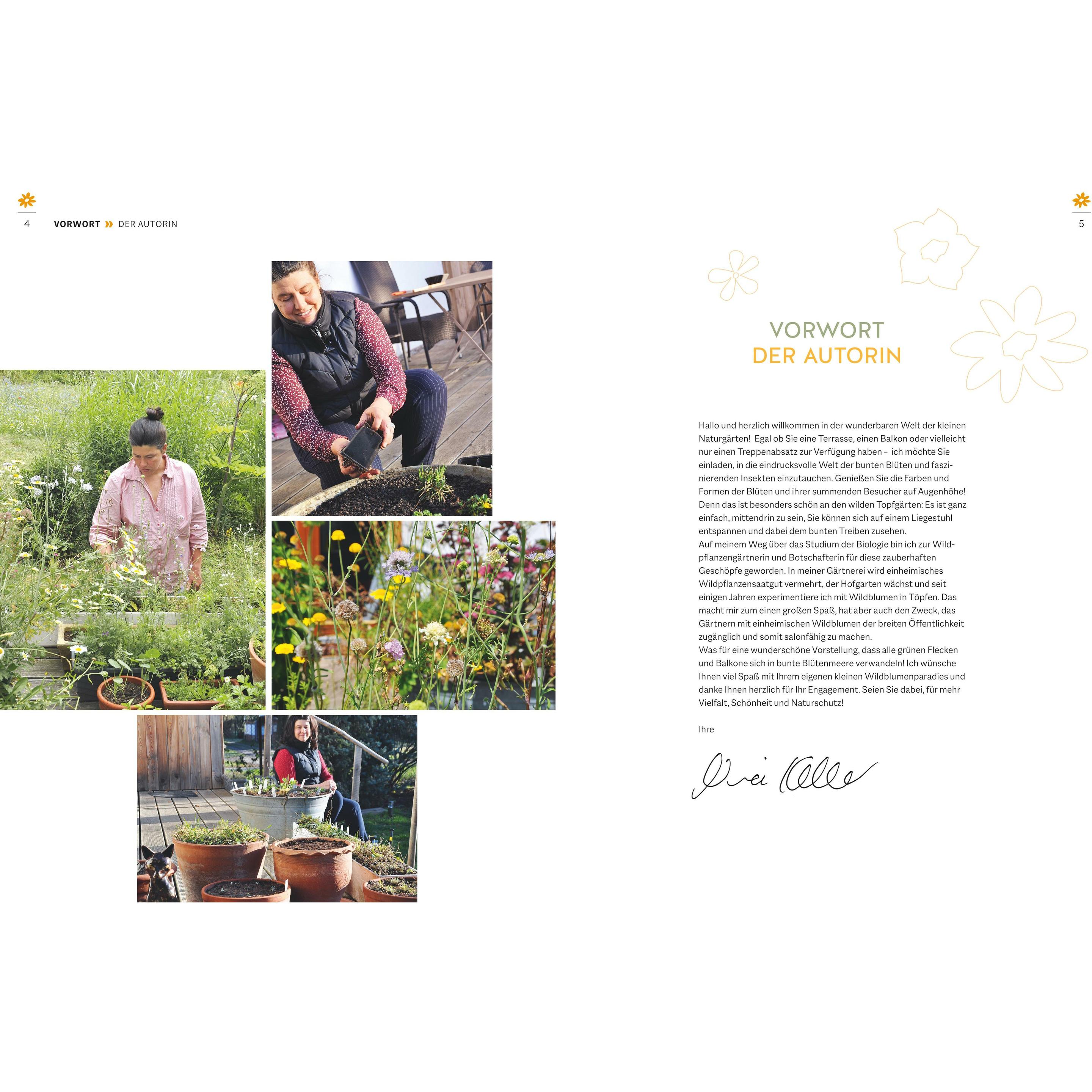 Thumbnail - Wildblumen für Balkon und Terrasse, Sachbücher von Nina Keller
