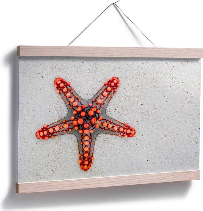 Produktbild Trenddeko Leuchtender Seestern (45 x 30 cm)
