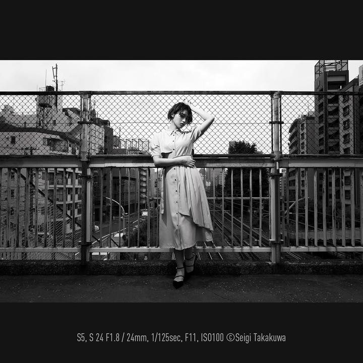 Immagine prodotto Panasonic Lumix S 24mm f/1.8 L Mount (L-mount, Full frame)