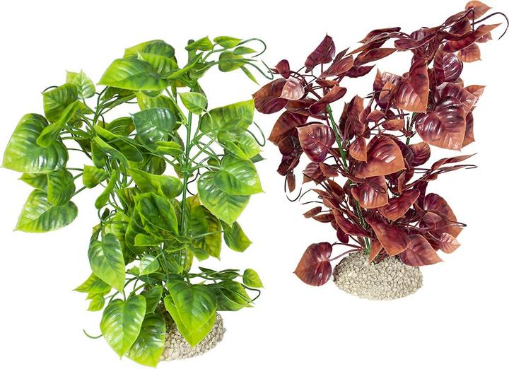 Produktbild EBI Aqua Della Pflanze Hornwort L (Pflanzen)