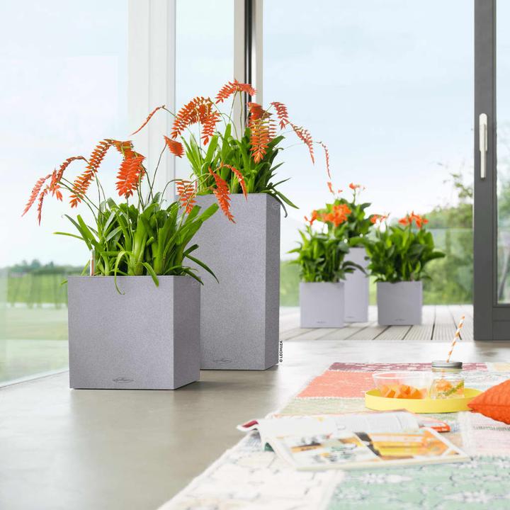 Image du produit Lechuza Colonne Canto Color (30 x 30 x 56 cm)