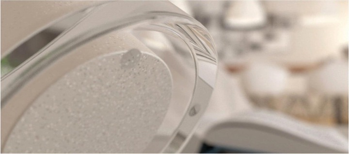 Immagine prodotto Fix-o-moll Tappetini 1.9 mm / Ø 19 mm 8 x (Cursori in plastica, 8 Pezzo/i)