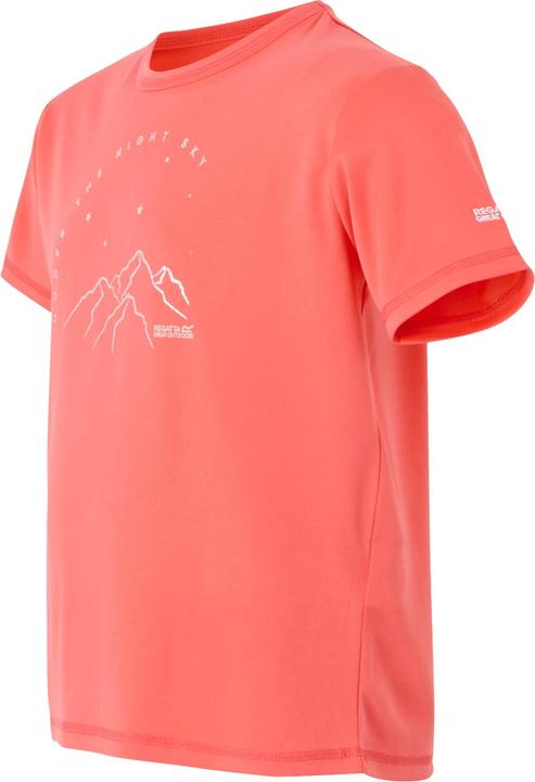 Produktbild Regatta Alvarado IX TShirt (116)