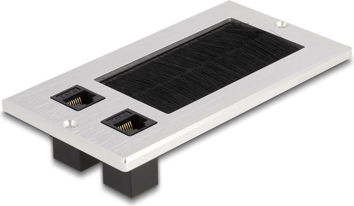 Produktbild Delock Einbaurahmen mit Bürste und 2 x RJ45 Keystone Modul Cat.6