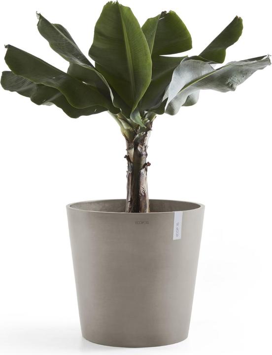 Produktbild Ecopots Amsterdam (50 cm)