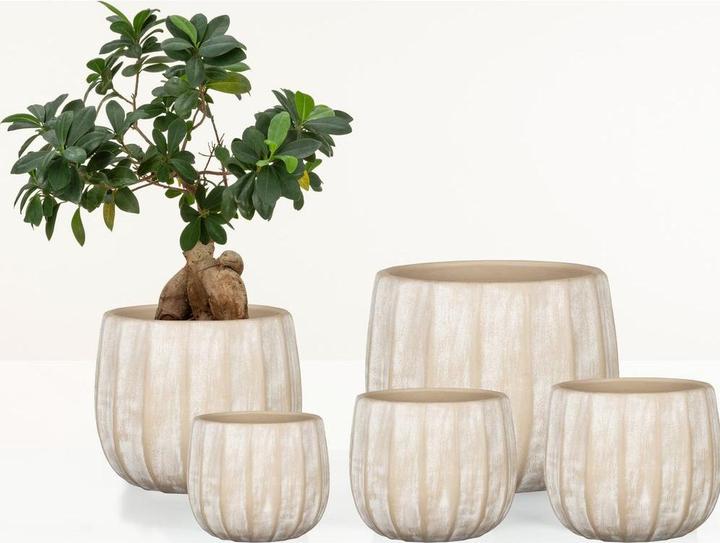 Produktbild Scheurich Runa (25.50 x 20 cm)