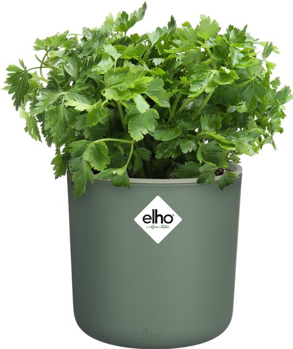 Produktbild Elho Happy Herbs (15 x 17 cm)