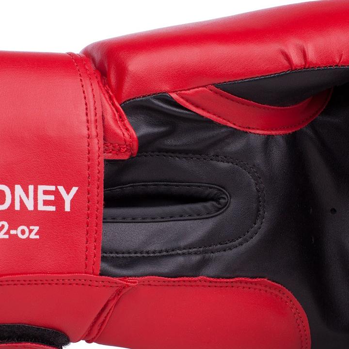 Actual product image Benlee Rodney Red Boxing Gloves (12 OZ, One size)