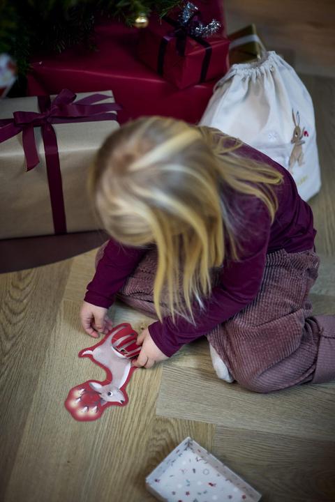 Immagine prodotto Filibabba - Wonderful Winter Forest friends - (FI-03793) (5 pezzi)